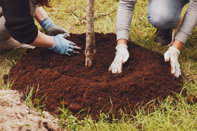 Apple Tree Planting in Honolulu, HI