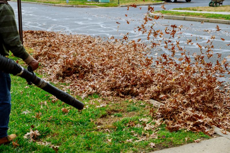 Autumn Leaf Removal in Ventura County, CA