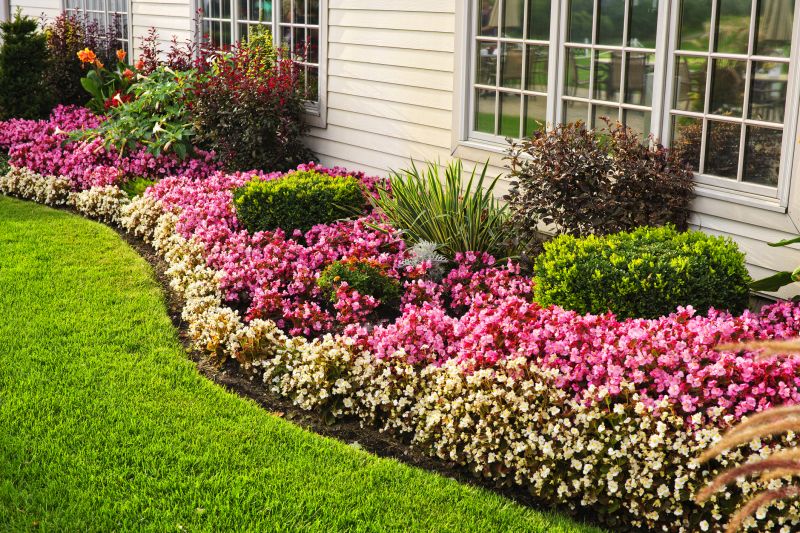 Boxwood Planting in Ventura County, CA