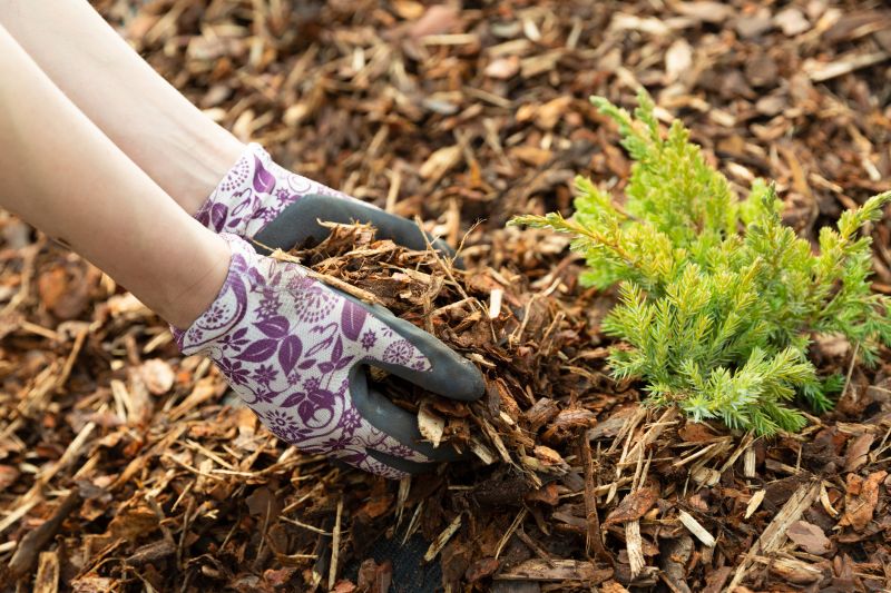 Brown Mulch Installation in Honolulu, HI