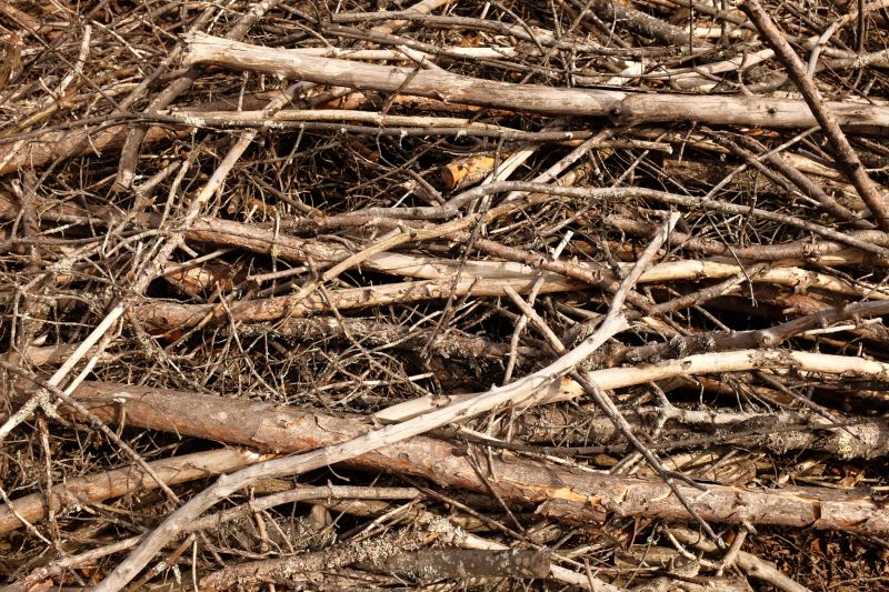 Brush Removal in Spring