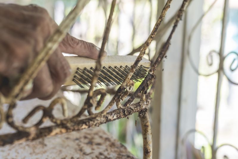 Brush Removal Cost Guide — Cost of Brush Removal