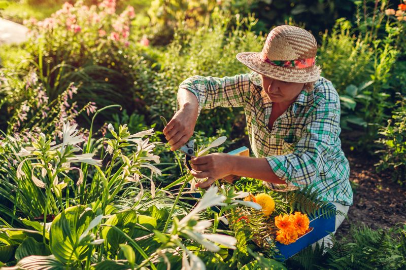 Flower Bed Cleanup Service in Honolulu, HI