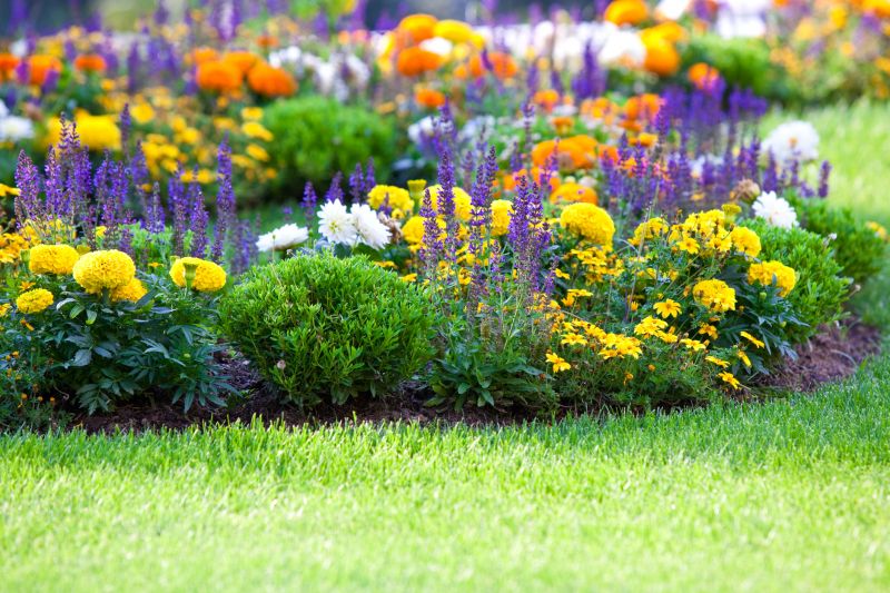 Flower Bed Cleanup Service in Ventura County, CA