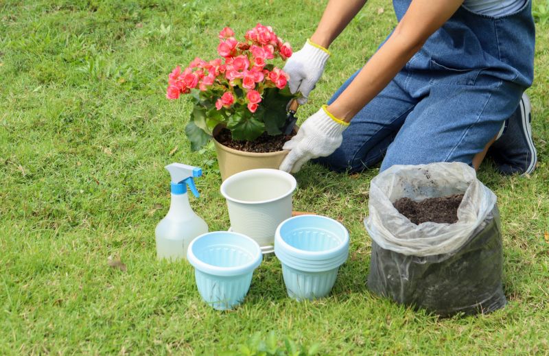 Home Gardening Service in Ventura County, CA