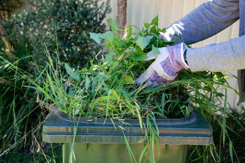 Lawn Cleanup Service in Ventura County, CA