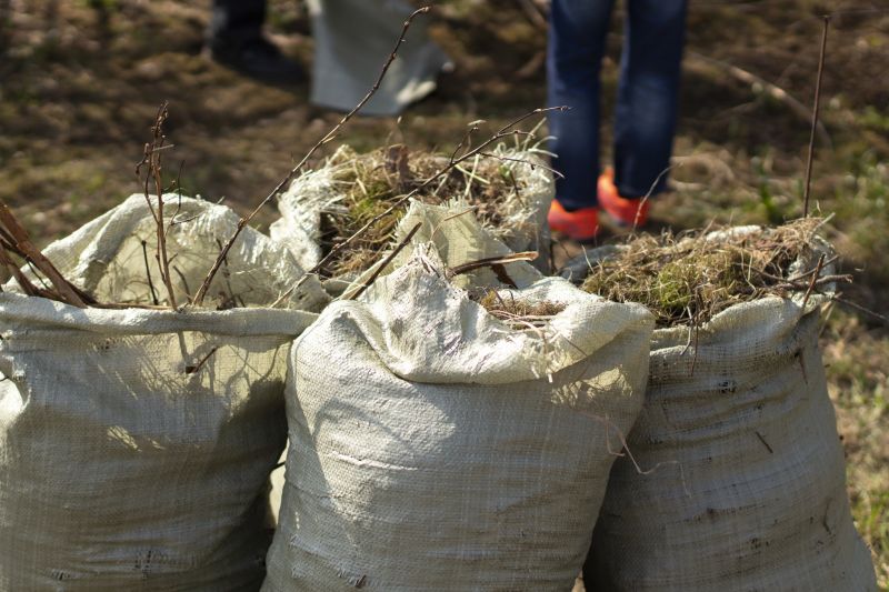 Lawn Debris Cleanup in Honolulu, HI