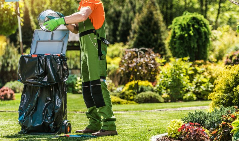 Leaf Cleanup Service in Honolulu, HI