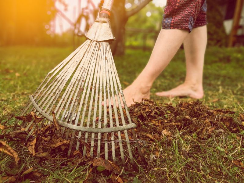 Leaf Raking Service in Honolulu, HI