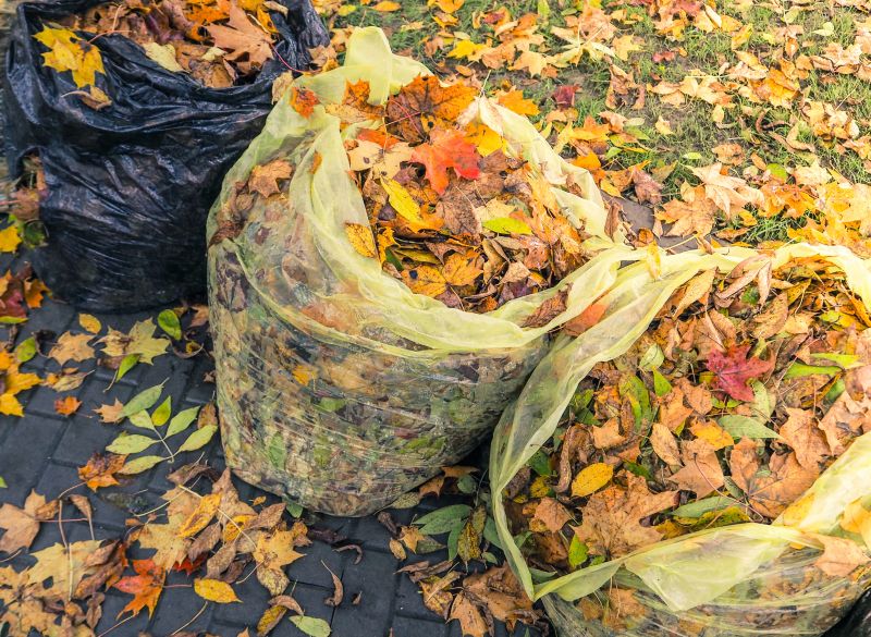 Leaf Removal in Honolulu, HI
