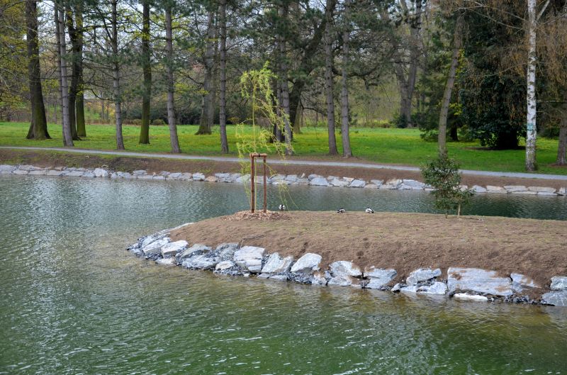 Privacy Landscaping in Honolulu, HI
