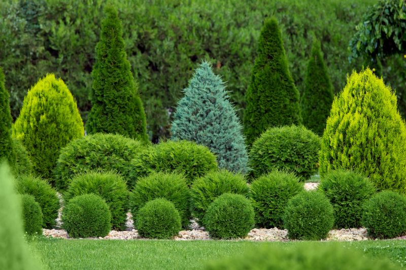 Shrub Planting Service in Honolulu, HI