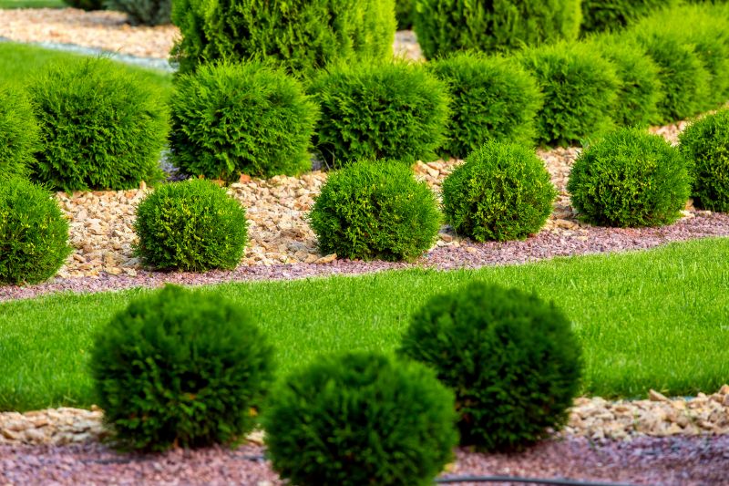 Shrub Replacement in Honolulu, HI
