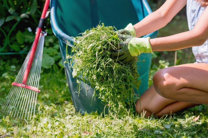 Spring Lawn Cleanup in Honolulu, HI