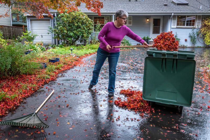 Spring Lawn Cleanup in Ventura County, CA