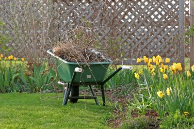 Spring Yard Clean Up Service in Honolulu, HI