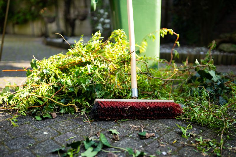 Spring Yard Cleanup in Honolulu, HI