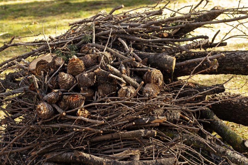 Tree Branch Disposal in Ventura County, CA