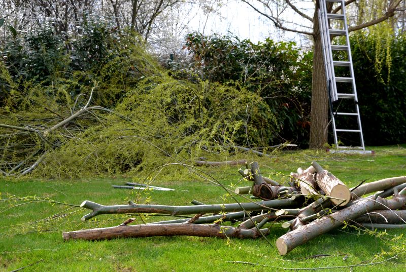 Tree Branches Removal in Honolulu, HI