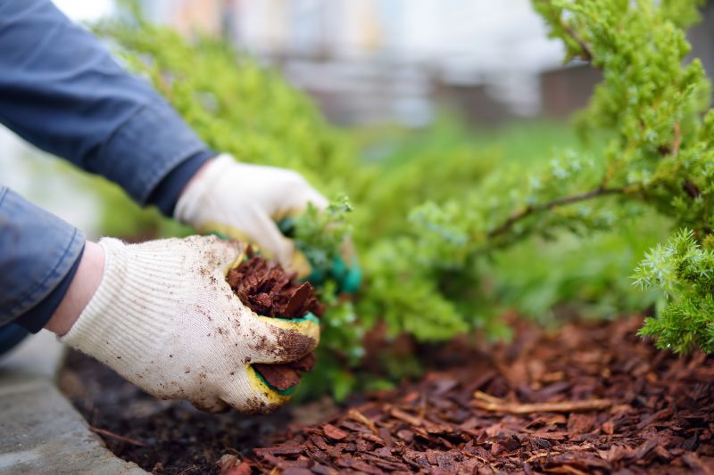 Weeding And Mulching in Honolulu, HI