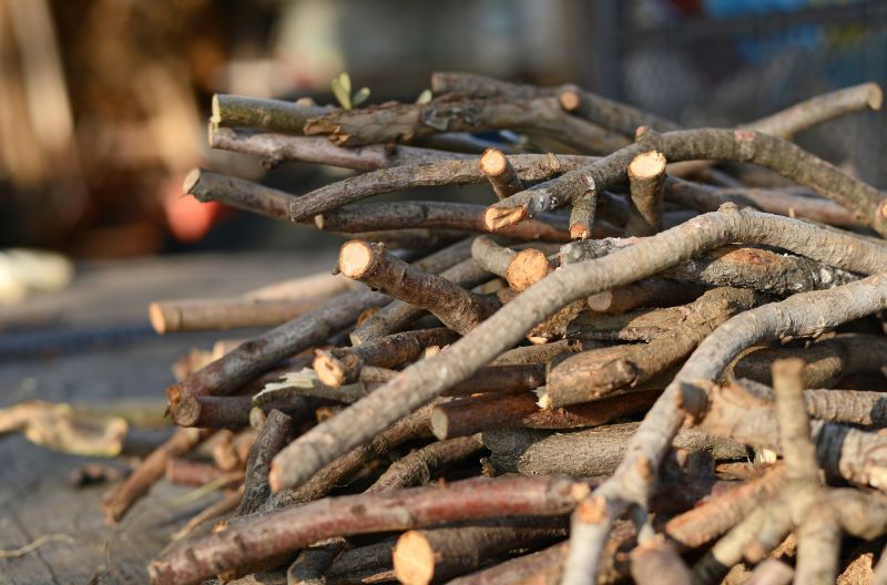 Wood Pile Removal in Ventura County, CA