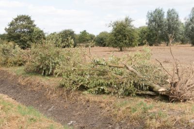 Clear Land of Unwanted Debris