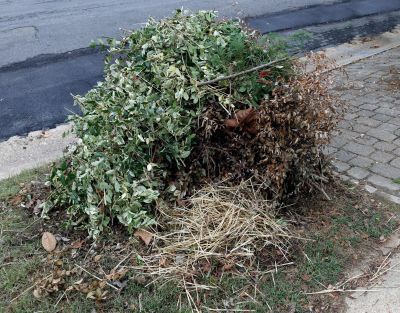 Wood Pile Removal in Ventura County, CA